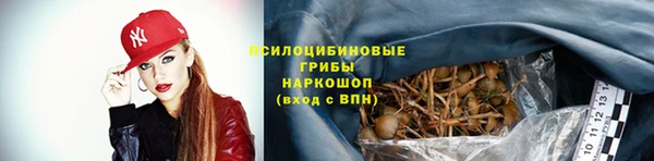 ПСИЛОЦИБИНОВЫЕ ГРИБЫ Белоозёрский