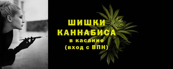 ПСИЛОЦИБИНОВЫЕ ГРИБЫ Белоозёрский