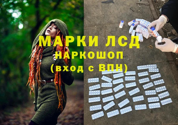 ПСИЛОЦИБИНОВЫЕ ГРИБЫ Белоозёрский