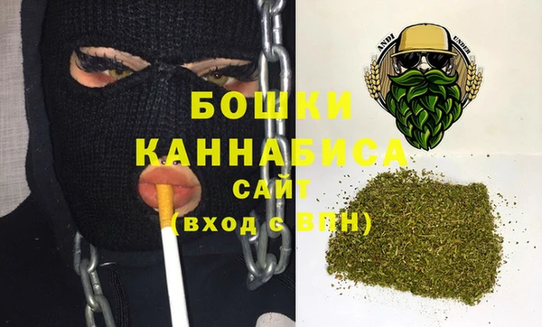 бошки Белокуриха