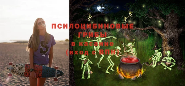 ПСИЛОЦИБИНОВЫЕ ГРИБЫ Белоозёрский