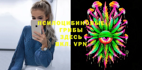 ПСИЛОЦИБИНОВЫЕ ГРИБЫ Анива