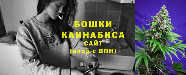 бошки Белокуриха