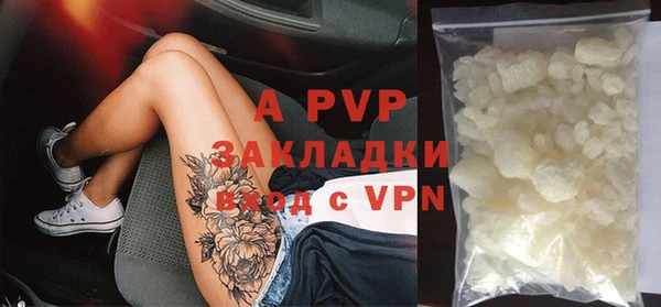 бошки Белокуриха
